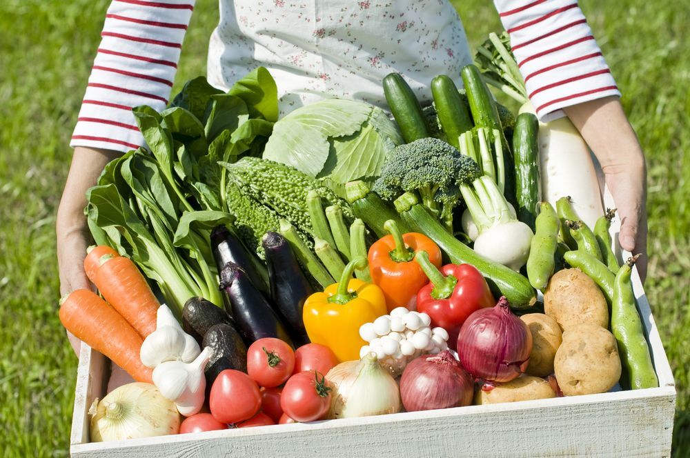 Забота о своем здоровье - это хорошее питание и нет ничего лучше, чем свежие фрукты и овощи..
